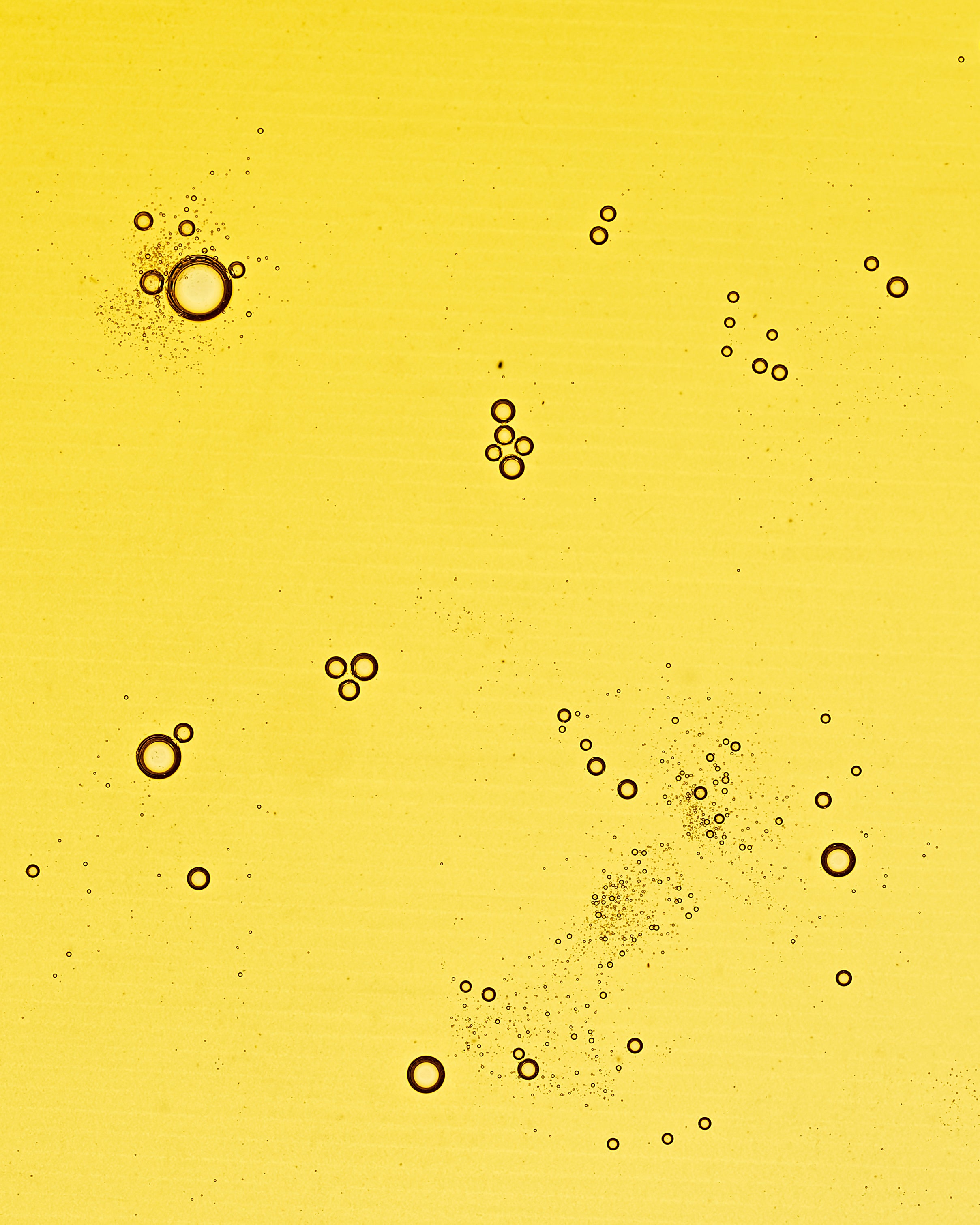 Rosehip CO2 Facial Oil